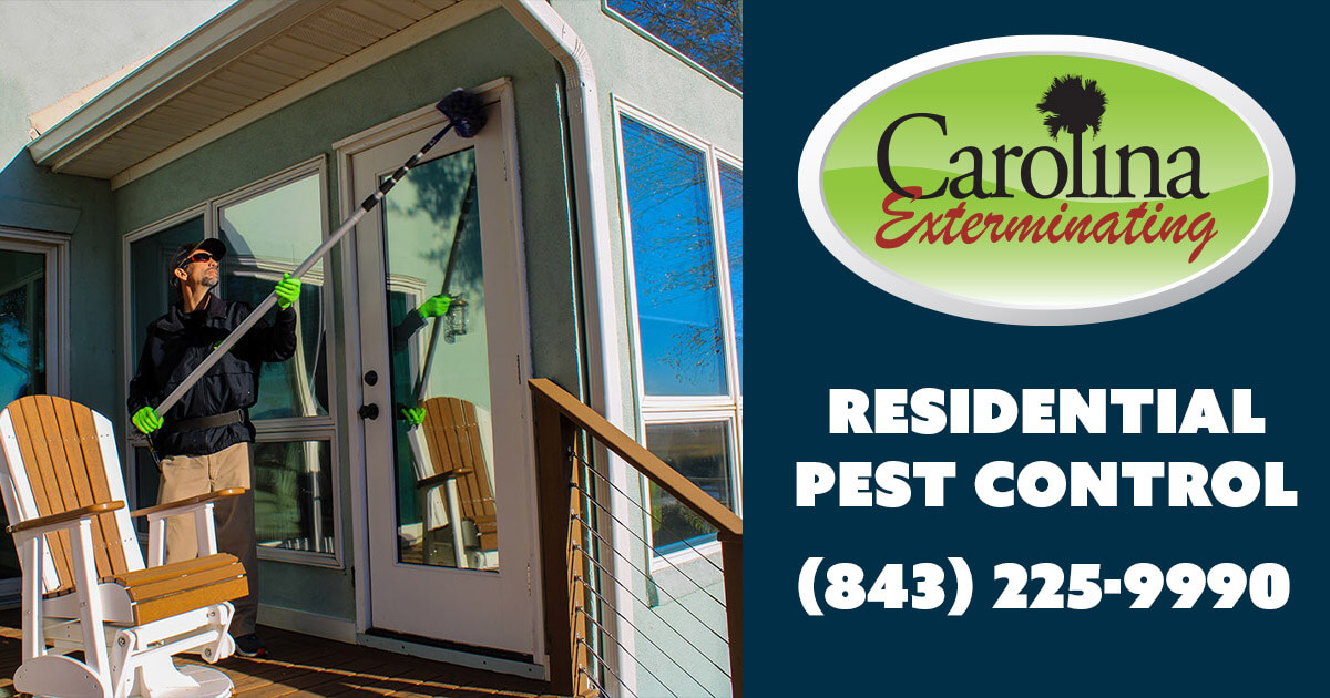 Residential Pest Control » Carolina Exterminating