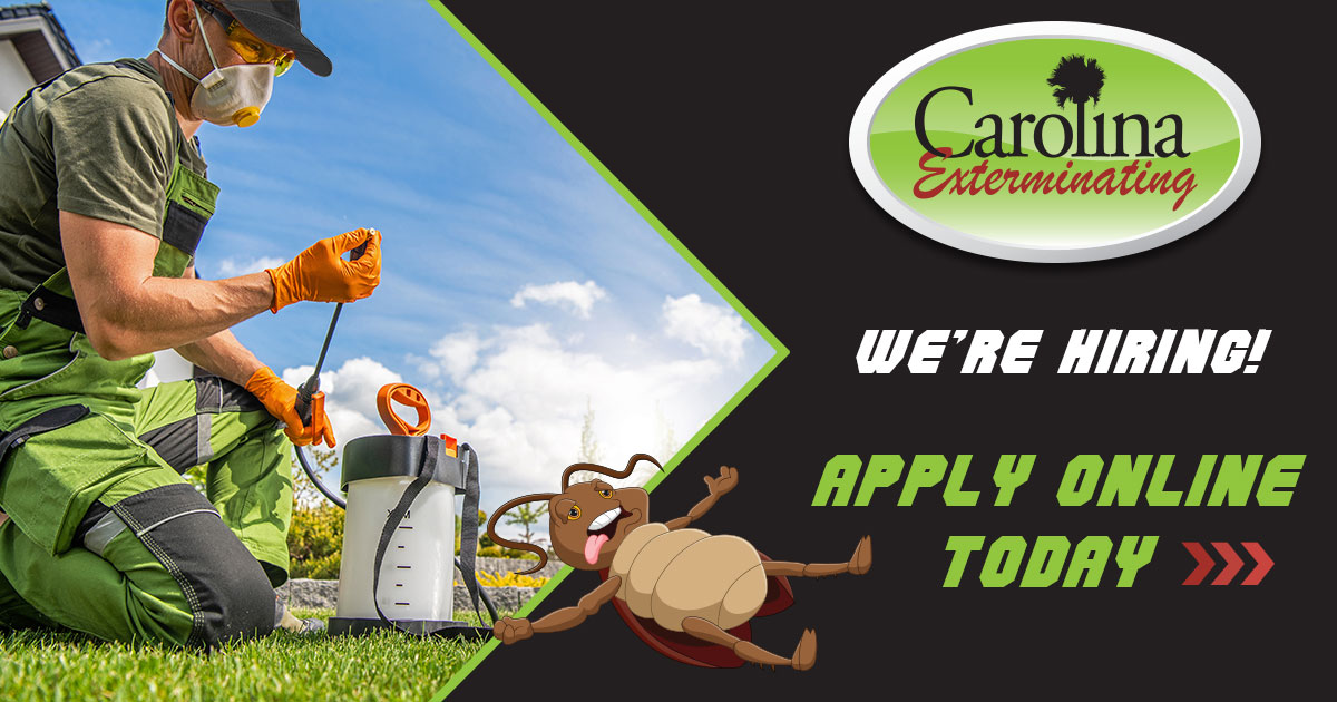 We're Hiring » Carolina Exterminating