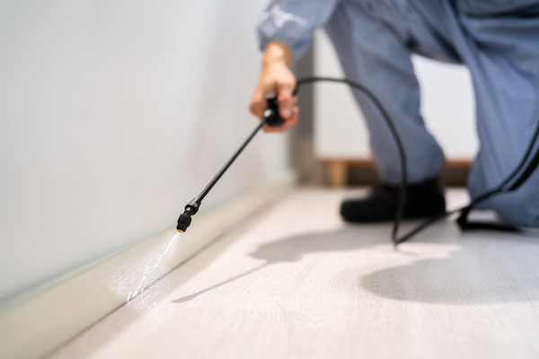 a person spraying a floor